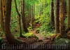 Wald - Erholung für Mensch und Tier - 2027 - Kalender DIN Produktbild-Vorschau 10