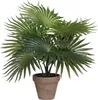 Mica Decorations Palmiers Plante artificielle dans pot de Voir les images du produit 1