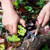 Multitool Werkzeug Survival Zange Multifunktionsmesser Produktbild-Vorschau 4