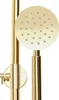 A close-up of a gold shower system, showing the showerhead and part of the adjustable pole. Náhled obrázku produktu