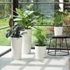MALWA DŁUTO 190 pot de fleurs - blanc LA721-05 LAMELA Voir les images du produit 13