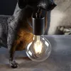Tischleuchte Dachshund | 1-flammig | 10W E27 | Produktbild-Vorschau 6