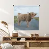 MuchoWow® Wandteppich Wandbehang Scottish Hochlandrind - Produktbild-Vorschau 6