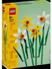 LEGO MERCHANDISE Żonkile 40747 Voir les images du produit 35