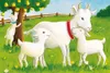 Mein Bauernhof Ravensburger 07463 Produktbild-Vorschau 6