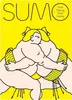 SUMO – taktyczna gra karciana z walkami sumo Podgląd zdjęcia produktu 2