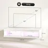 Fortuna Lai TV skrinka, závesná TV skrinka s RGB LED Náhľad obrázku produktu 1