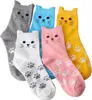 5 Paar bunte Katzensocken, lustige Freizeitsocken, mit Produktbild-Vorschau 2