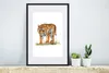 MuchoWow® MuchoWow® Gerahmtes Poster Tiger - Kopf - Gras Produktbild-Vorschau 4