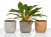 Scheurich La Natura, Blumentopf aus Keramik,  Farbe: Produktbild-Vorschau 4