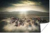 MuchoWow® Poster Pferde - Natur - Nebel - Wildtiere 180x120 Produktbild-Vorschau 1