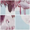 Bild auf Leinwand - Leinwandbild - 4 Teile - Flamingos Produktbild-Vorschau 8