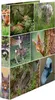 HERMA, animales del bosque en 2D, formato A4, para Vista previa de la imagen del producto 10