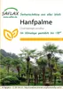 Artikelbild 1 von 'Hanfpalme' aus der Kategorie Palmensamen Podgląd zdjęcia produktu