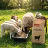 PANTO Schäferstolz 25kg - Ergänzungsfuttermittel für Schafe Produktbild-Vorschau 3