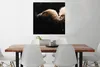 MuchoWow® Poster Geier - Weiß - Schwarz 75x75 cm - Wand Produktbild-Vorschau 2