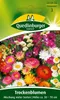 Trockenblumen, Mischung vieler Sorten Produktbild-Vorschau 1