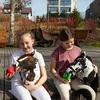 Steckenpferd Skippi. Das rotbraune Pferd an der Stange Produktbild-Vorschau 12