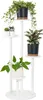 A white, multi-tiered plant stand displaying several potted plants. Anteprima dell’immagine prodotto