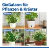 Maximex LED Feuchtigkeitsmessgerät für Pflanzen, Produktbild-Vorschau 6