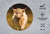 MuchoWow® Mauspad Mousepad Schottische Highlander - Licht - Produktbild-Vorschau 2