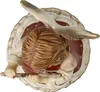 A top-down view of a ceramic angel figurine. Náhľad obrázku produktu