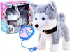 A plush husky dog toy with a leash and a box in the background. Produktbild-Vorschau