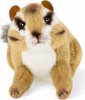 Carl Dick scoiattolo 17 cm. Peluche, peluche, peluche 3706 Anteprima dell’immagine prodotto 2