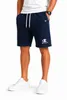 Champion Herren Shorts Blau L – Sweatshorts Baumwolle Sport Produktbild-Vorschau 4