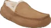 Ugg Ascot M Chestnut - Heren Pantoffel - 1101110-CHE Produktbild-Vorschau 5