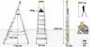 Multiple views of an aluminum household ladder with dimensions and weight capacity indicated. Anteprima dell’immagine prodotto