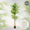 ML-Design Künstlicher Bambus 210 cm, Kunstpflanze mit Produktbild-Vorschau 2