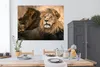 MuchoWow® Poster Löwe - Wild - Jagd 160x120 cm - Foto Produktbild-Vorschau 3