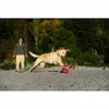 Chuckit! Kick Fetch S Produktbild-Vorschau 27