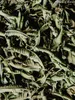 Verbenenblätter ganz - Eisenkraut (€124,75/kg) Verbene Tee Produktbild-Vorschau 3