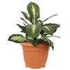 Blumentopf Rund Übertopf Blumenkasten Abmessungen (DxH) 35 Produktbild-Vorschau 1