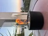 Firell Bioethanol Tischkamin aus massivem Beton Ethanol Tischfeuer Produktbild-Vorschau