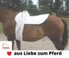 Voltigiergurt MASTER Gurt zum Voltigieren Voltigierbedarf Produktbild-Vorschau 2
