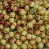 Food-United KIRSCH-APFEL-ÄPFEL mit Stiel 12 Dosen Füllm Produktbild-Vorschau 5