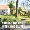 COMPO SANA® Rosenerde - 40 Liter Produktbild-Vorschau 7