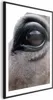 Posterpapier Poster - Honest Eyes 60x90 cm Tiere Produktbild-Vorschau 1