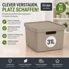 Plastard Aufbewahrungsbox mit Deckel 3er-Set 31 Liter in Produktbild-Vorschau 2