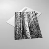 Bilder auf glas - Einteilig - Birken Wald Monochrom - Produktbild-Vorschau 2