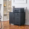 CLIPOP caisson à roulettes armoire de classement en bois, Voir les images du produit 3