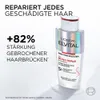 L'Oréal Elvital, Total Repair Premium, Haarshampoo, 200 ml Produktbild-Vorschau 6