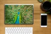 MuchoWow® Laptop Aufkleber Sticker Cover Nahaufnahme - Pfau Produktbild-Vorschau 2
