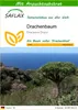 SAFLAX - Drachenbaum - Dracaena Draco - 5 Samen - Mit Produktbild-Vorschau 1