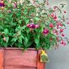 Kunagone repellente naturale per gatti 2 - confezione Anteprima dell’immagine prodotto 5