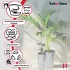 KOTARBAU® 2 Pezzi Vaso per Piante da Interno Vetroceramica Anteprima dell’immagine prodotto 4