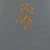 artplants.de Textilblume Tweedia solanoides Pallas, orange, Produktbild-Vorschau 6